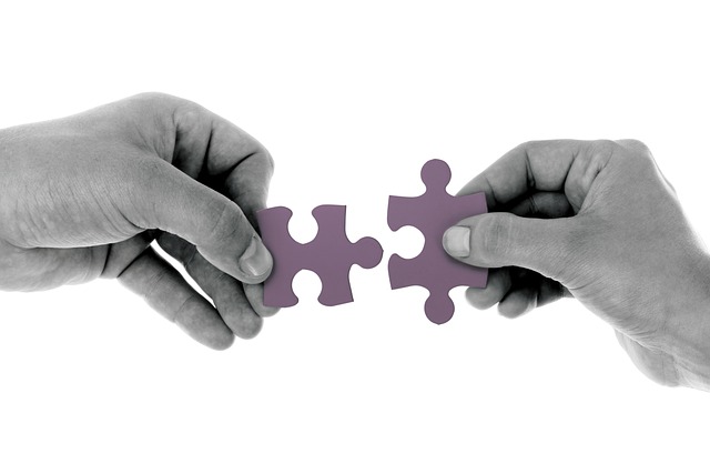 Two hands holding a purple puzzle piece, symbolizing the Direct to Consumer Model in Business.